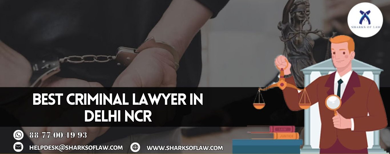 Best Criminal Lawyer In Delhi NCR